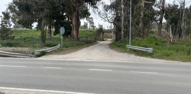 Ingresso base