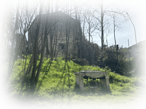 immagine della base 1 di 6